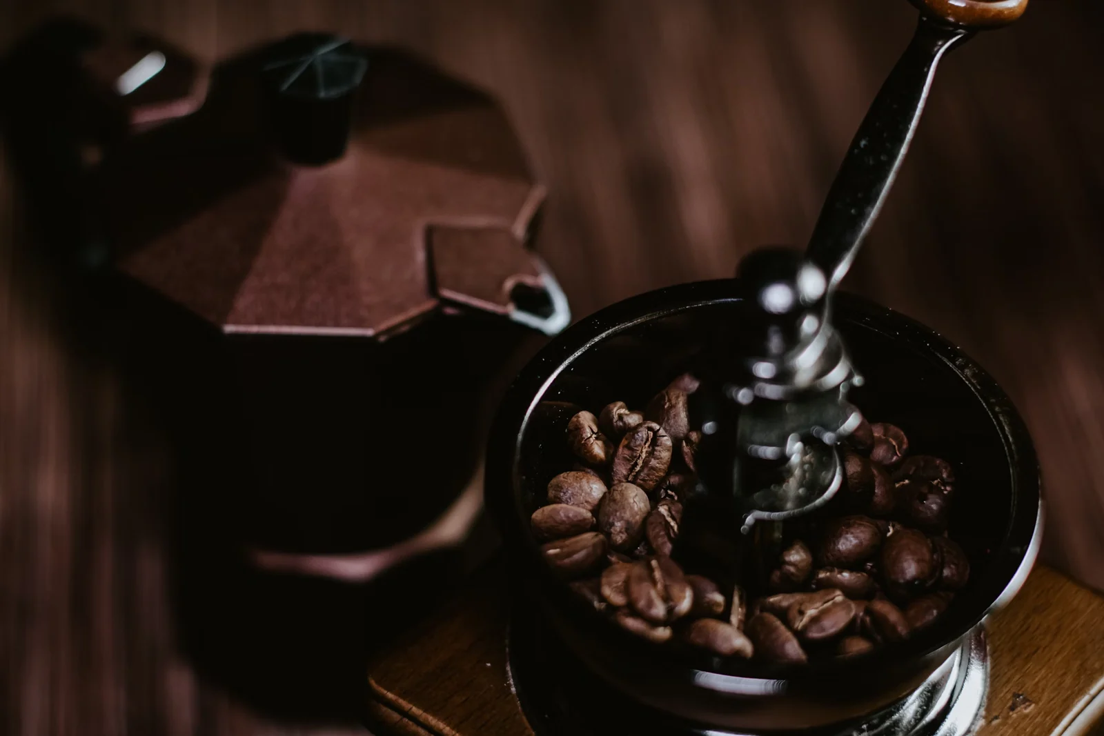 Arabica & Robusta kennenlernen