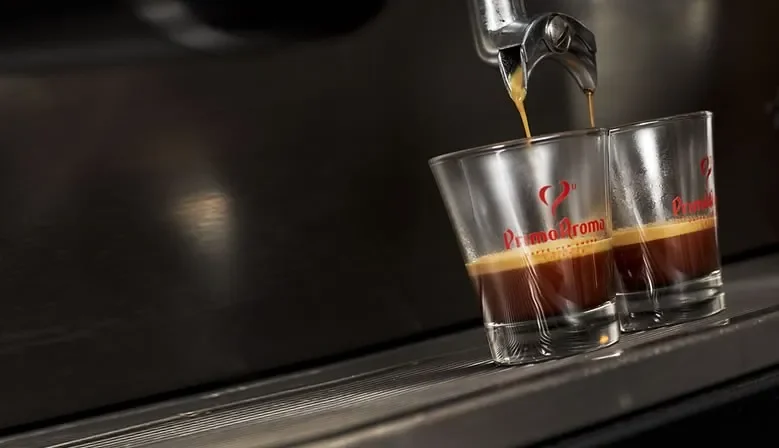 E.S.E.-Kaffeepads: Kompatibilität und Zubereitung